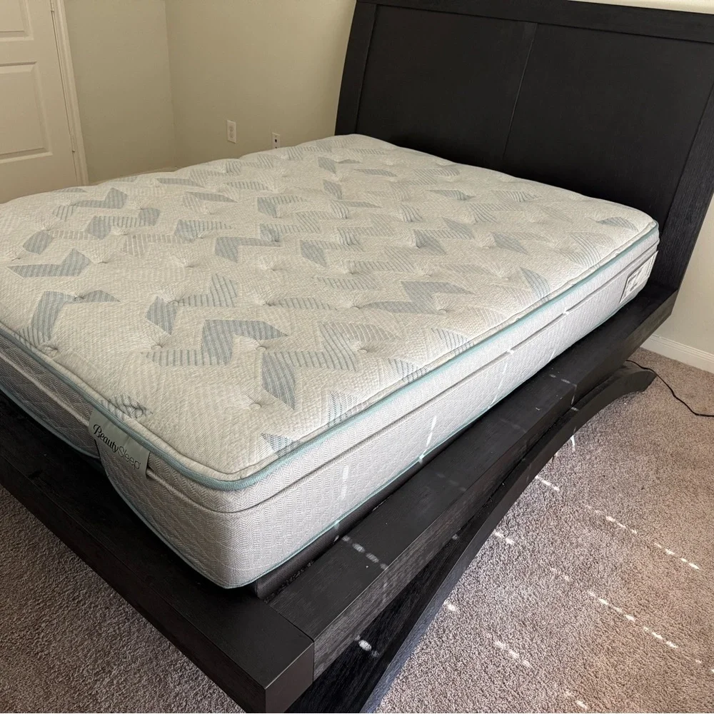 Elegant Black Bed Frame with White Mattress